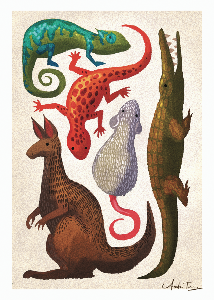 Concept_Art_Postcard